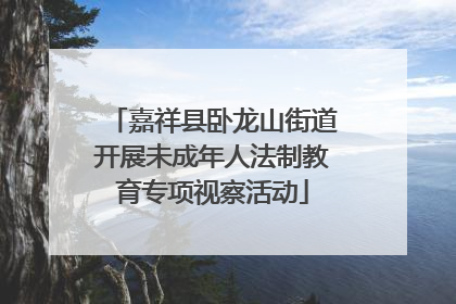 嘉祥县卧龙山街道开展未成年人法制教育专项视察活动