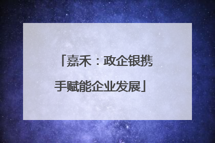 嘉禾：政企银携手赋能企业发展