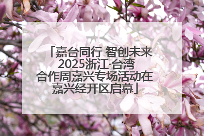 嘉台同行 智创未来 2025浙江·台湾合作周嘉兴专场活动在嘉兴经开区启幕