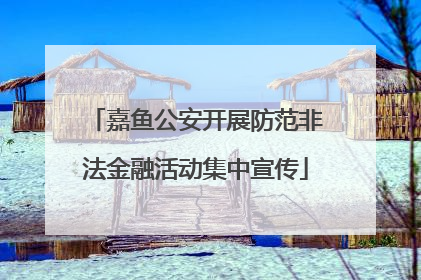嘉鱼公安开展防范非法金融活动集中宣传