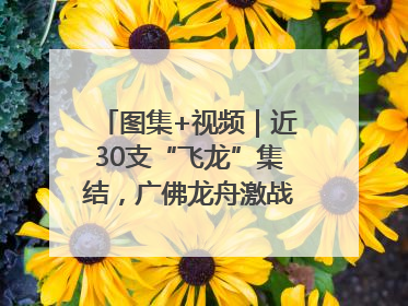 图集+视频｜近30支“飞龙”集结，广佛龙舟激战第60届荔湾“沙溪景”