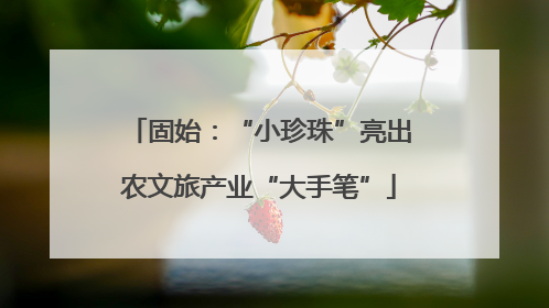 固始：“小珍珠”亮出农文旅产业“大手笔”