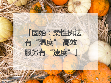 固始：柔性执法有“温度” 高效服务有“速度”