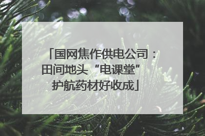 国网焦作供电公司：田间地头“电课堂” 护航药材好收成