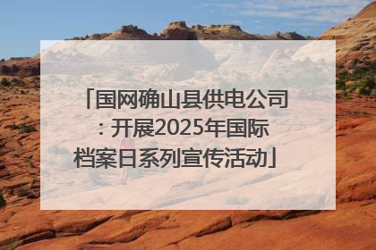 国网确山县供电公司：开展2025年国际档案日系列宣传活动