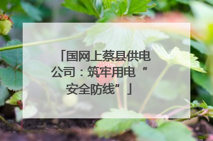 国网上蔡县供电公司：筑牢用电“安全防线”