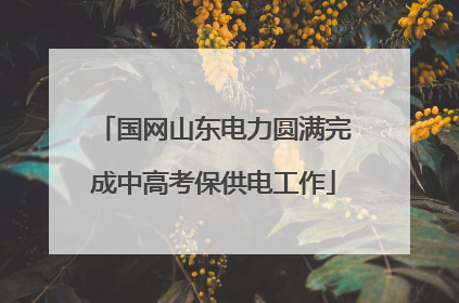 国网山东电力圆满完成中高考保供电工作