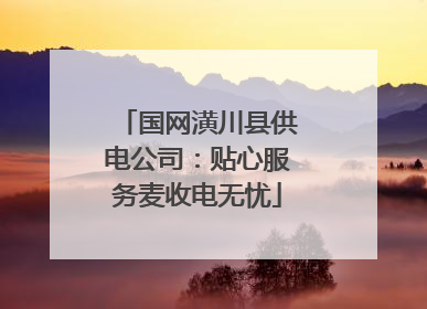 国网潢川县供电公司：贴心服务麦收电无忧