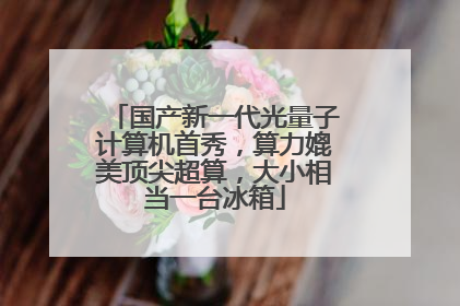 国产新一代光量子计算机首秀，算力媲美顶尖超算，大小相当一台冰箱
