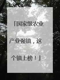 国家级农业产业强镇，这个镇上榜！