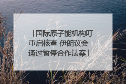 国际原子能机构吁重启核查 伊朗议会通过暂停合作法案