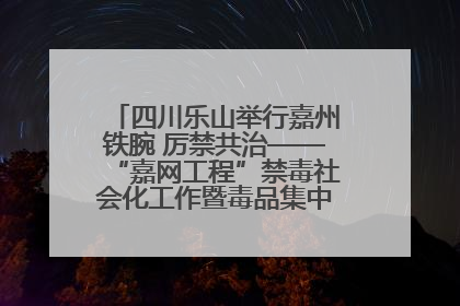 四川乐山举行嘉州铁腕 厉禁共治——“嘉网工程”禁毒社会化工作暨毒品集中销毁启动仪式