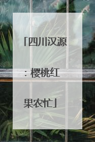 四川汉源：樱桃红 果农忙
