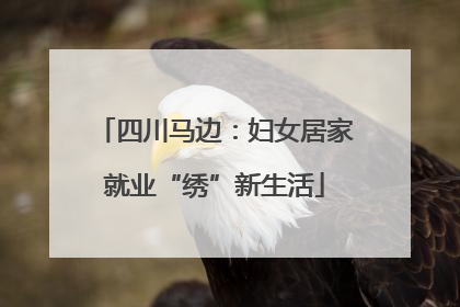 四川马边：妇女居家就业“绣”新生活