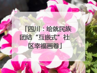 四川：绘就民族团结“互嵌式”社区幸福画卷
