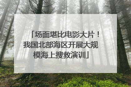 场面堪比电影大片！我国北部海区开展大规模海上搜救演训