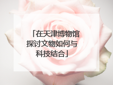 在天津博物馆探讨文物如何与科技结合