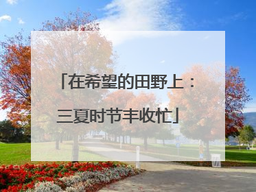 在希望的田野上：三夏时节丰收忙