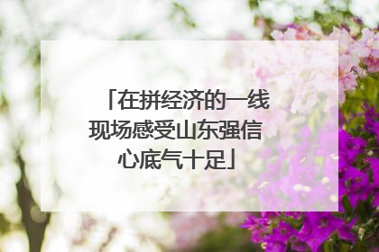 在拼经济的一线现场感受山东强信心底气十足