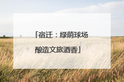 宿迁：绿荫球场酿造文旅酒香