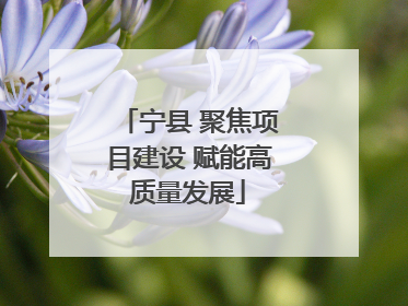 宁县 聚焦项目建设 赋能高质量发展