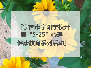 宁国市宁阳学校开展“5•25”心理健康教育系列活动