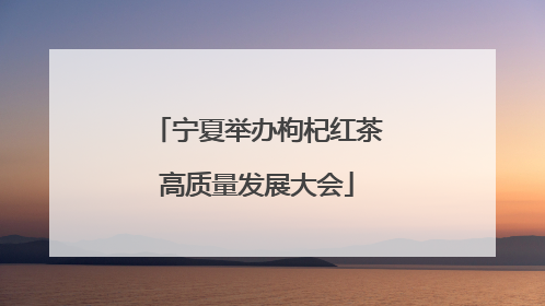 宁夏举办枸杞红茶高质量发展大会