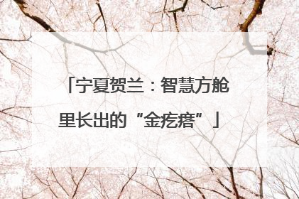 宁夏贺兰：智慧方舱里长出的“金疙瘩”