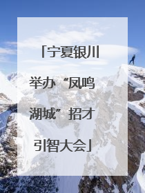 宁夏银川举办“凤鸣湖城”招才引智大会