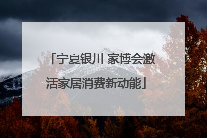 宁夏银川 家博会激活家居消费新动能