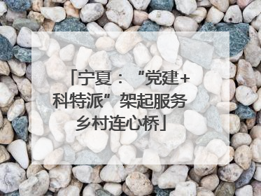 宁夏：“党建+科特派”架起服务乡村连心桥