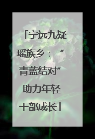 宁远九疑瑶族乡：“青蓝结对” 助力年轻干部成长