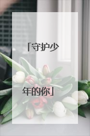 守护少年的你