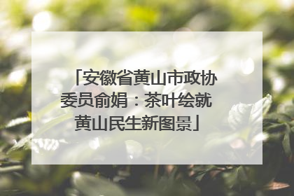 安徽省黄山市政协委员俞娟：茶叶绘就黄山民生新图景
