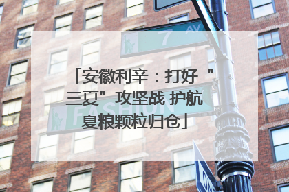 安徽利辛：打好“三夏”攻坚战 护航夏粮颗粒归仓
