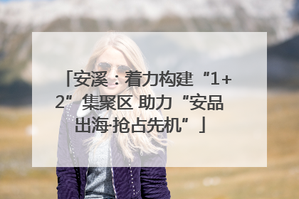 安溪：着力构建“1+2”集聚区 助力“安品出海·抢占先机”