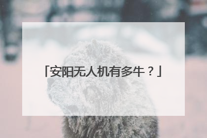 安阳无人机有多牛？