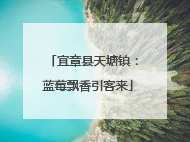 宜章县天塘镇：蓝莓飘香引客来