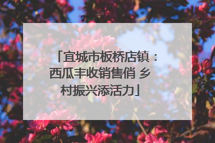 宜城市板桥店镇：西瓜丰收销售俏 乡村振兴添活力