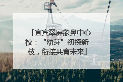 宜宾翠屏象鼻中心校：“幼芽”初探新枝，衔接共育未来