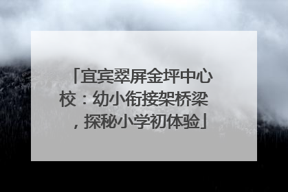 宜宾翠屏金坪中心校：幼小衔接架桥梁，探秘小学初体验