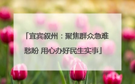 宜宾叙州：聚焦群众急难愁盼 用心办好民生实事
