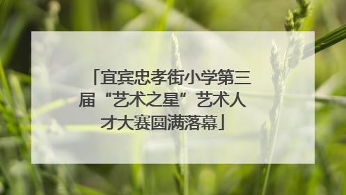 宜宾忠孝街小学第三届“艺术之星”艺术人才大赛圆满落幕