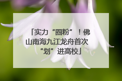 实力“圈粉”！佛山南海九江龙舟首次“划”进高校