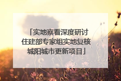 实地察看深度研讨 住建部专家组实地复核城阳城市更新项目