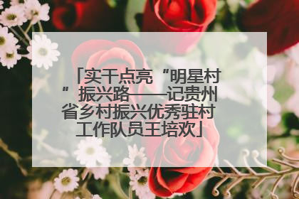 实干点亮“明星村”振兴路——记贵州省乡村振兴优秀驻村工作队员王培欢