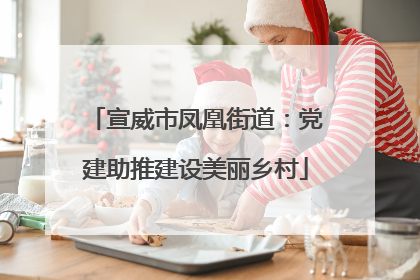 宣威市凤凰街道：党建助推建设美丽乡村