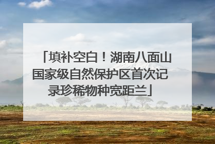 填补空白！湖南八面山国家级自然保护区首次记录珍稀物种宽距兰