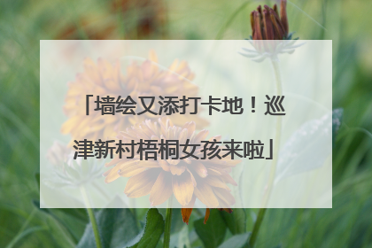 墙绘又添打卡地！巡津新村梧桐女孩来啦