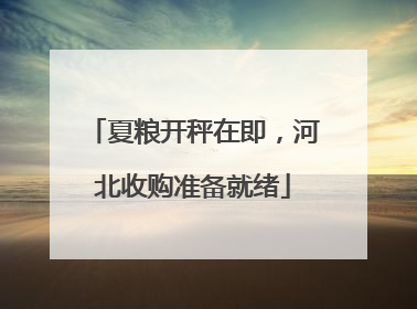 夏粮开秤在即，河北收购准备就绪